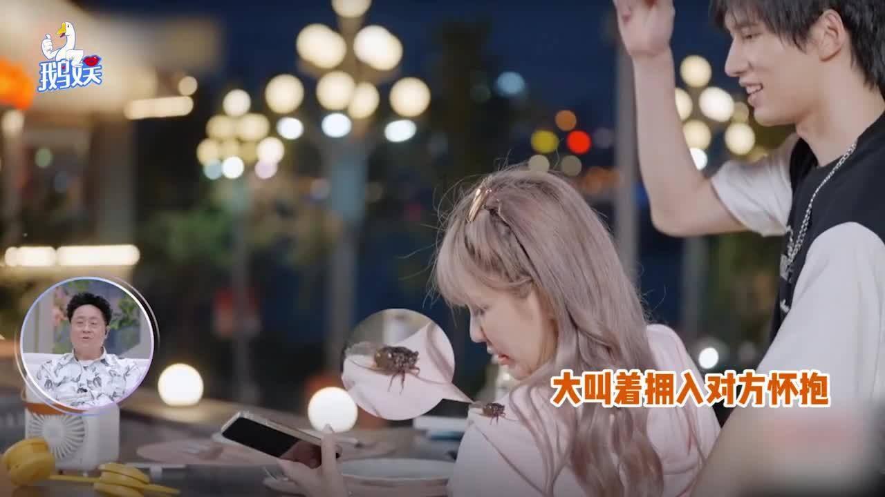 镜之边缘：催化剂